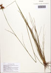 000093060-thumbnail.jpg