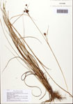 000093066-thumbnail.jpg