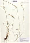 000093121-thumbnail.jpg