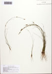 000093123-thumbnail.jpg