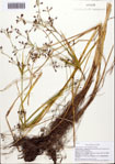 000093128-thumbnail.jpg
