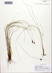 000093135-thumbnail.jpg