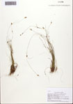 000093136-thumbnail.jpg