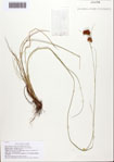 000093137-thumbnail.jpg