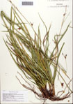 000093138-thumbnail.jpg