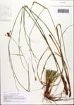 000093139-thumbnail.jpg