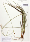 000093140-thumbnail.jpg
