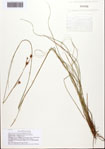 000093142-thumbnail.jpg