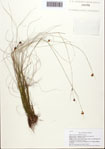 000093143-thumbnail.jpg