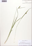 000093314-thumbnail.jpg