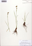 000093337-thumbnail.jpg