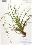 000093432-thumbnail.jpg