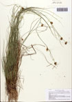 000093447-thumbnail.jpg
