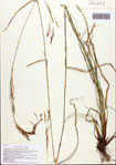000093448-thumbnail.jpg