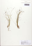 000093449-thumbnail.jpg