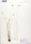 000093450-thumbnail.jpg