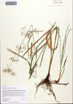 000093455-thumbnail.jpg