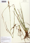 000093457-thumbnail.jpg