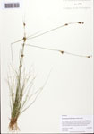 000093460-thumbnail.jpg