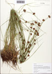 000093463-thumbnail.jpg