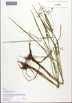 000093464-thumbnail.jpg