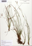 000093465-thumbnail.jpg