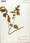 000093476-thumbnail.jpg