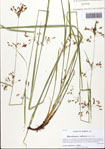 000093482-thumbnail.jpg