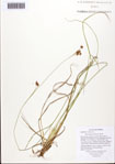 000093485-thumbnail.jpg