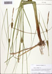000093517-thumbnail.jpg