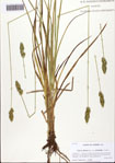 000093544-thumbnail.jpg