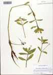 000093557-thumbnail.jpg