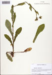 000093560-thumbnail.jpg