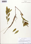 000093564-thumbnail.jpg