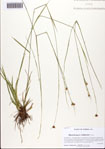 000093583-thumbnail.jpg