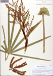 000093593-thumbnail.jpg