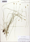 000093608-thumbnail.jpg