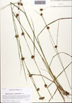 000093609-thumbnail.jpg