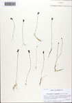 000093613-thumbnail.jpg