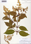 000093630-thumbnail.jpg