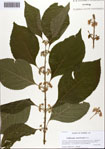000093645-thumbnail.jpg