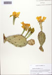 000093665-thumbnail.jpg