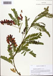 000093676-thumbnail.jpg