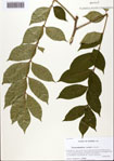 000093678-thumbnail.jpg