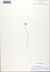 000093698-thumbnail.jpg