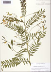000093715-thumbnail.jpg