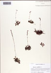000093728-thumbnail.jpg