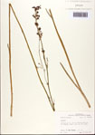 000093743-thumbnail.jpg