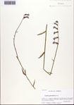 000093747-thumbnail.jpg
