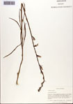 000093748-thumbnail.jpg